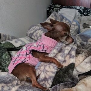 Meet your Posher, Chelsea